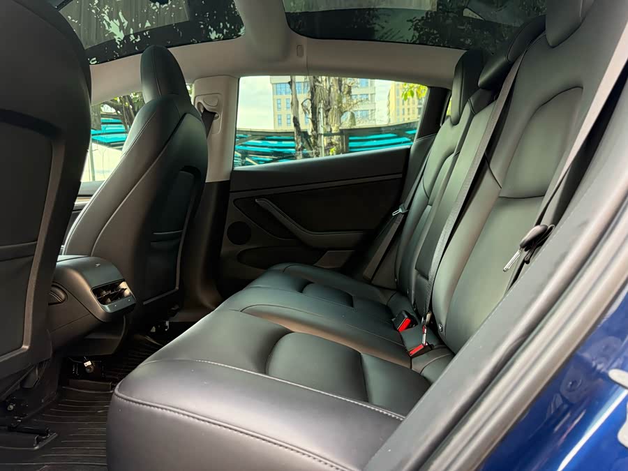 Tesla Model 3 Standard Range