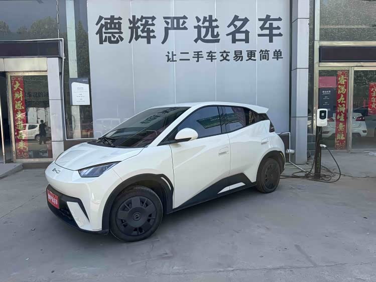 BYD Seagull