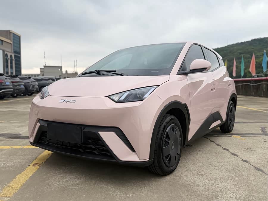 BYD Seagull Honor Edition 305 km Vitality