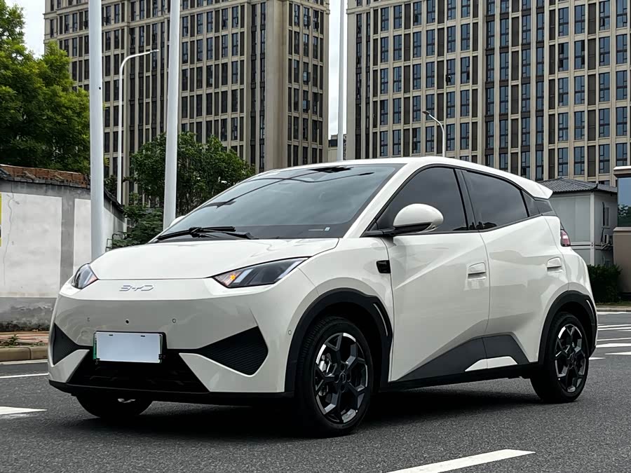 BYD Seagull Smart Drive 305 km Free
