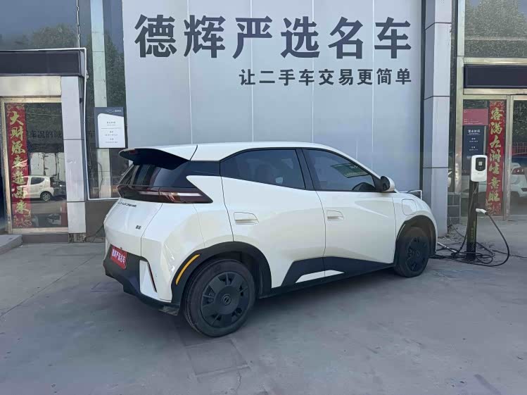 BYD Seagull