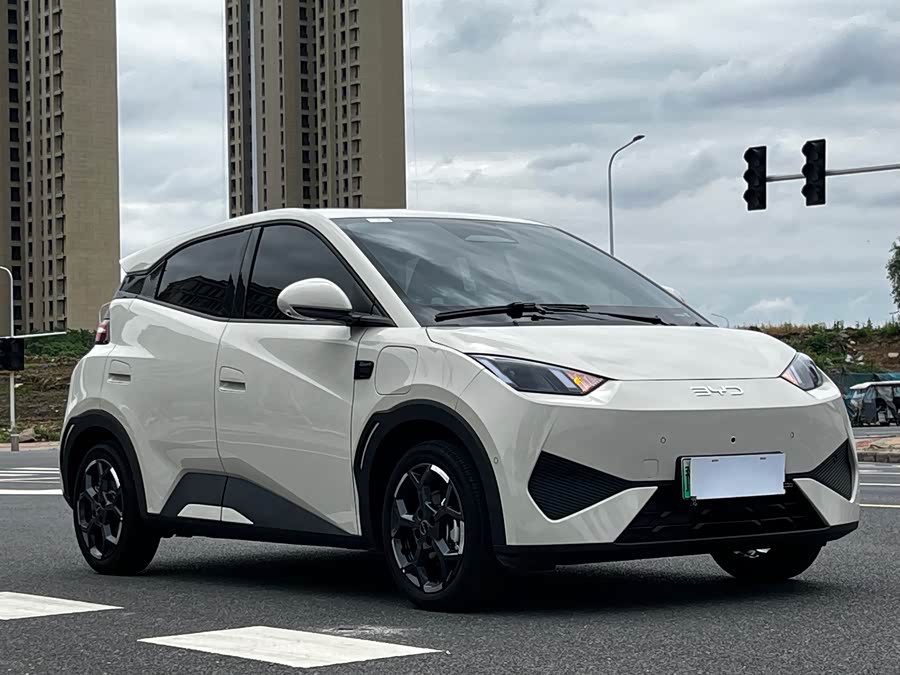 BYD Seagull Smart Drive 305 km Free