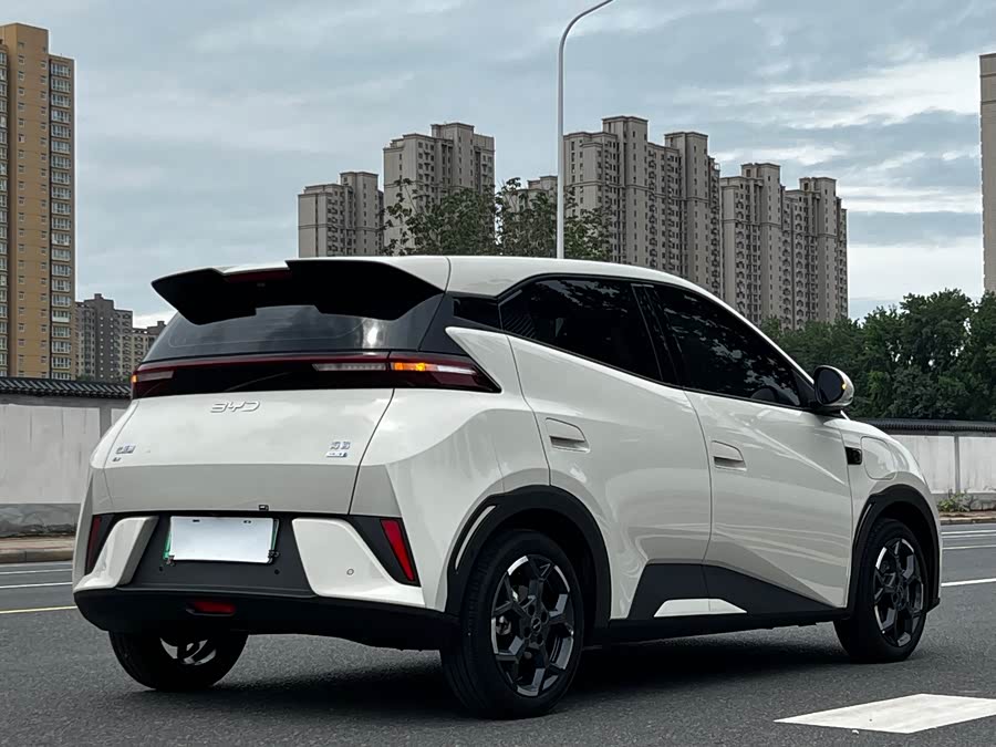 BYD Seagull Smart Drive 305 km Free