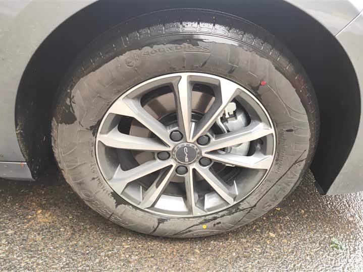 BYD Destroyer 05 Honor DM-i 55 km Luxury