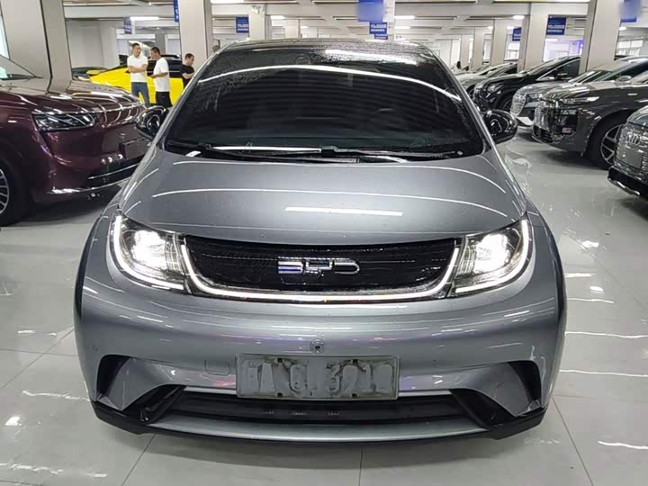 BYD Dolphin 420 km Style
