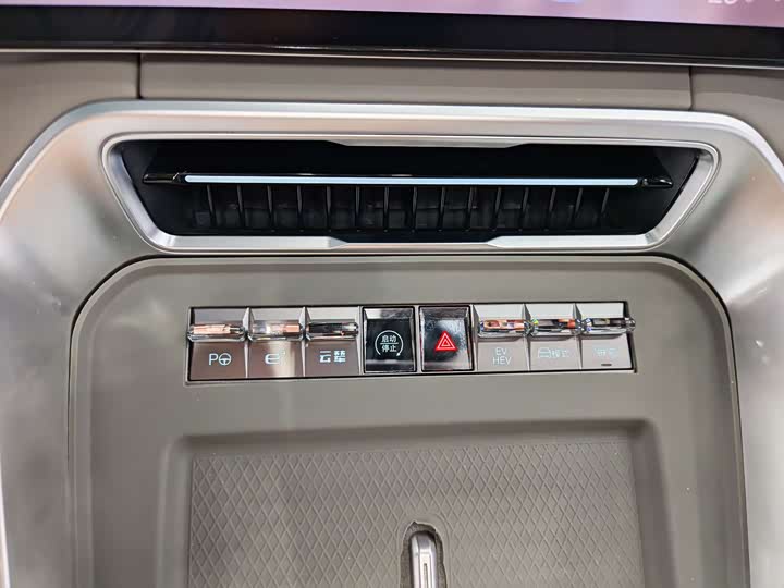 Denza N9 Flagship