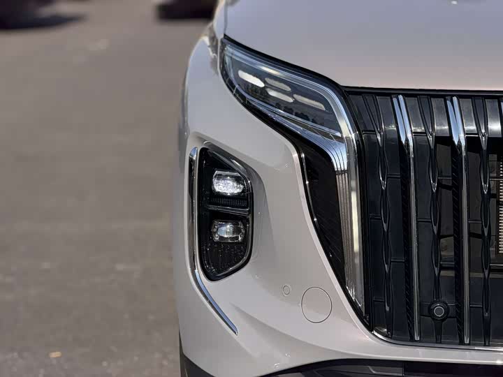 Hongqi HS7