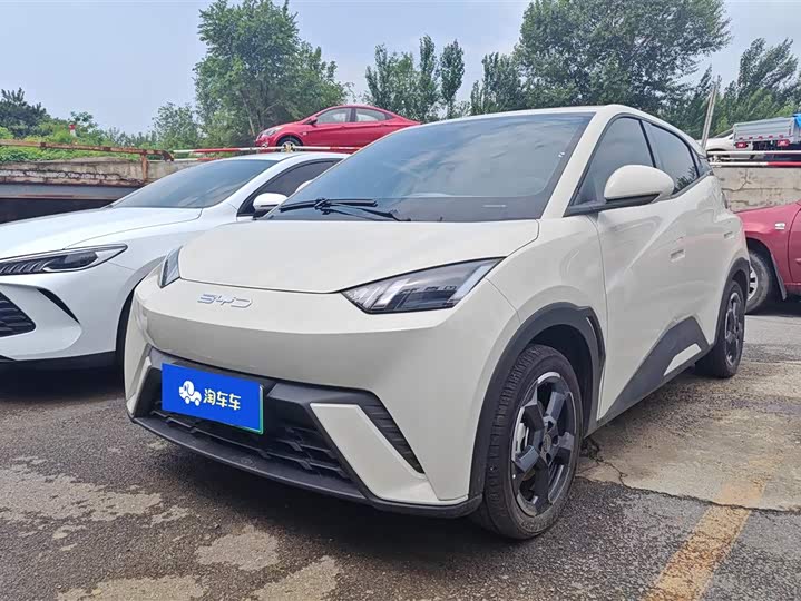 BYD Seagull Freedom Edition