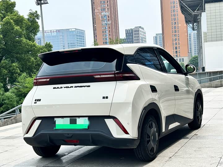 BYD Seagull Freedom Edition