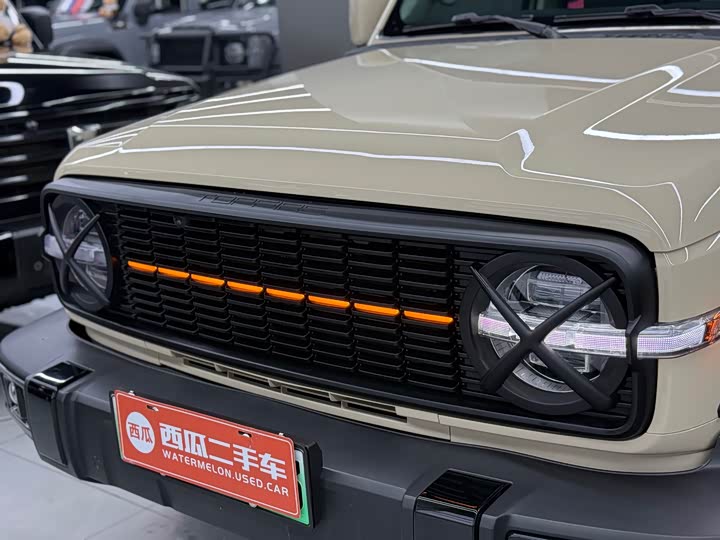Great Wall Tank 300
