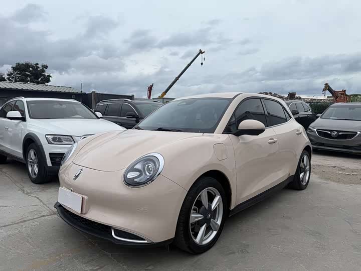 Great Wall ORA Good Cat 401 km Standard Range Luxury NCM