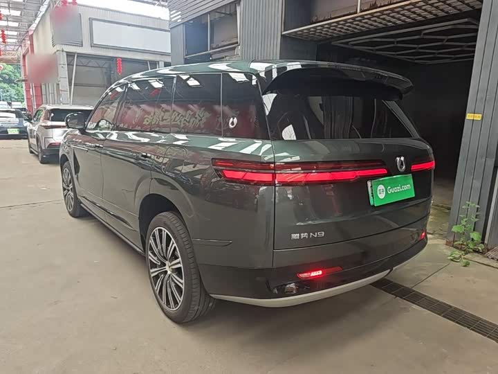 Denza N9 Flagship