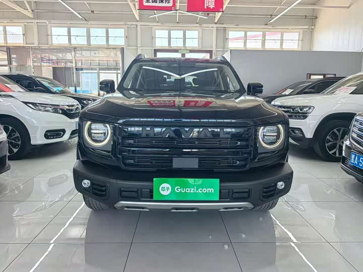 Haval Big Dog