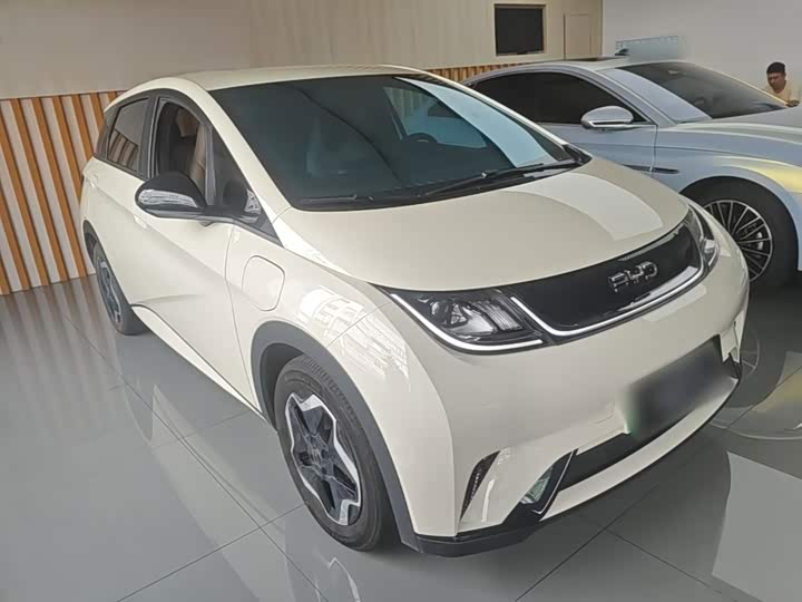 BYD Dolphin 420 km Huoli