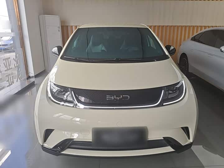 BYD Dolphin 420 km Huoli