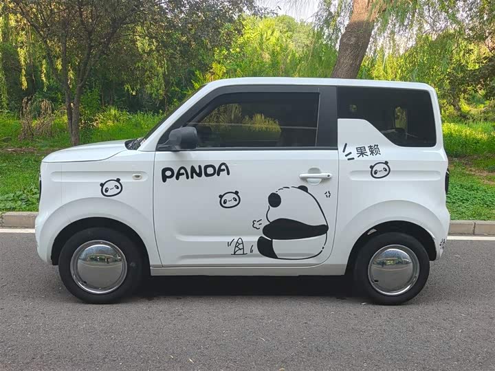 Geely Panda mini 200 km Endurance Bear