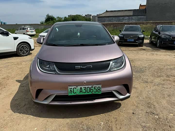 BYD Dolphin Glory Edition 420 km Style