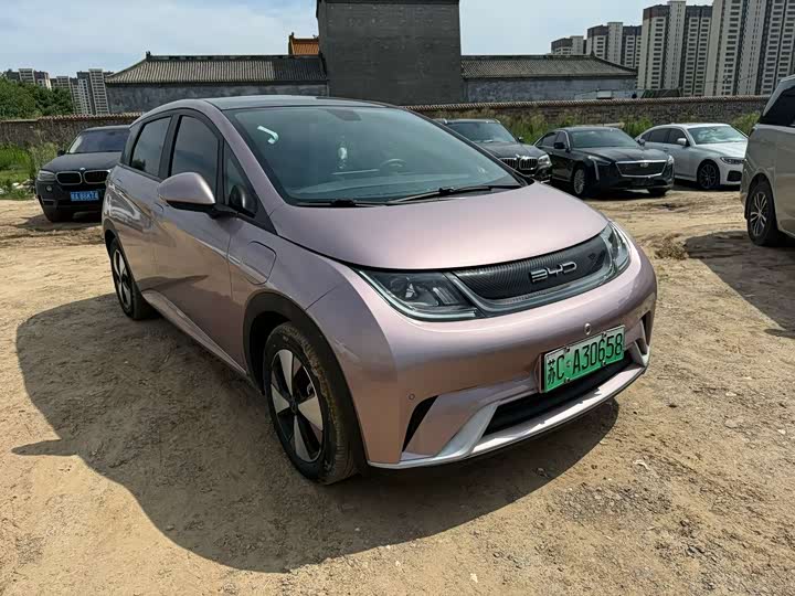BYD Dolphin Glory Edition 420 km Style