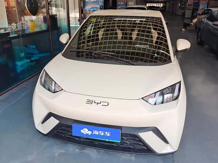 BYD Seagull