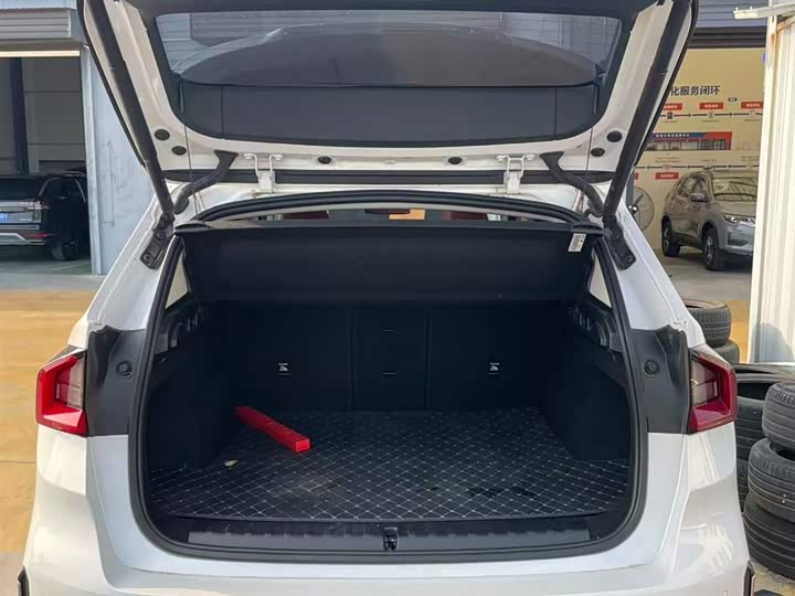 BMW X1 s Drive20Li X Design Package