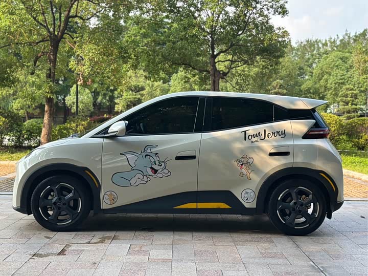BYD Seagull Freedom Edition