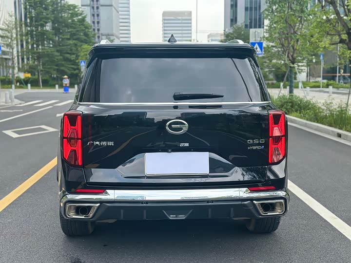 Trumpchi Trumpchi GS8