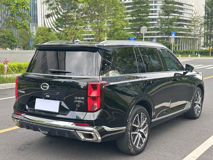 Trumpchi Trumpchi GS8