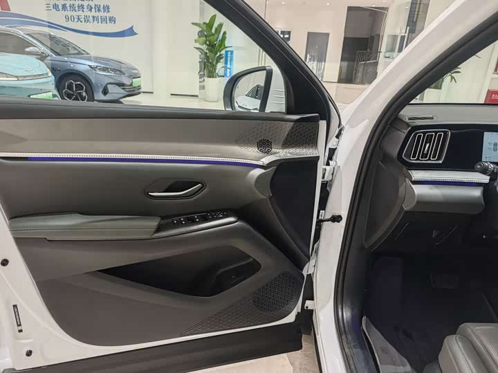 BYD Song Pro New Energy 2nd Gen Smart Driving DM-i 115 km Excellence
