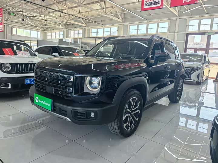Haval Big Dog