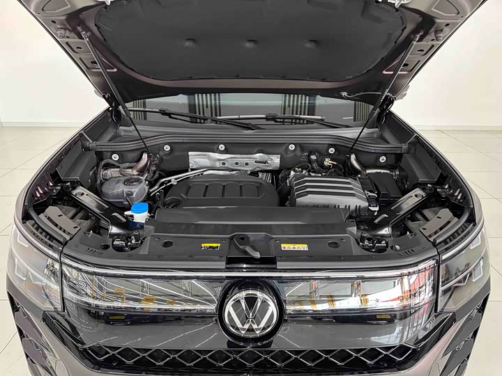 Volkswagen Talagon Pro