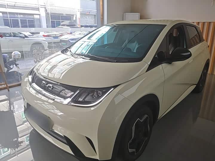 BYD Dolphin 420 km Huoli