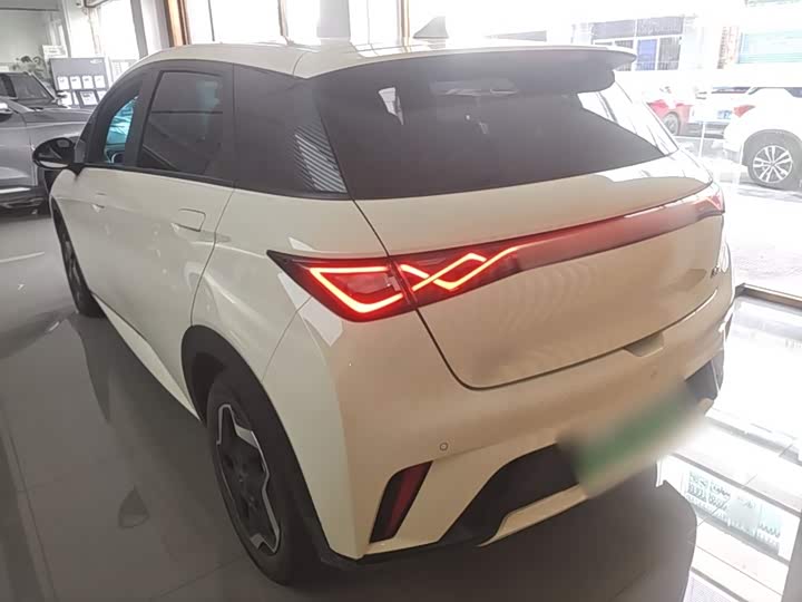 BYD Dolphin 420 km Huoli