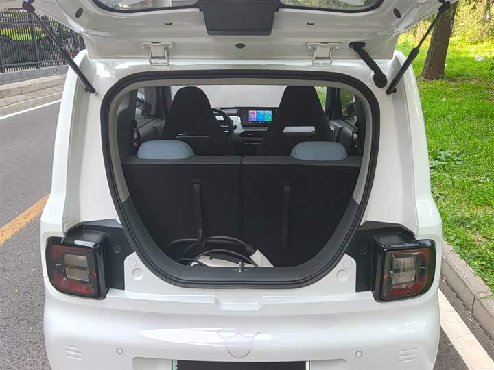 Geely Panda mini 200 km Endurance Bear