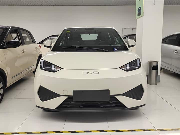 BYD Seagull 305 km Free