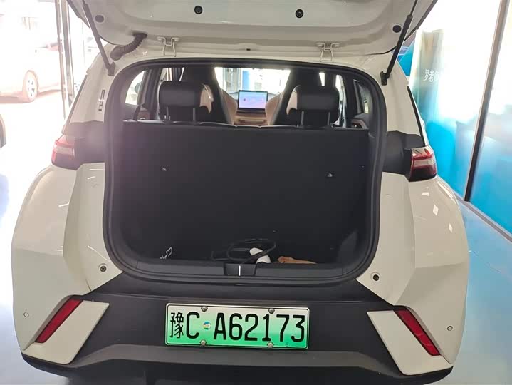 BYD Seagull