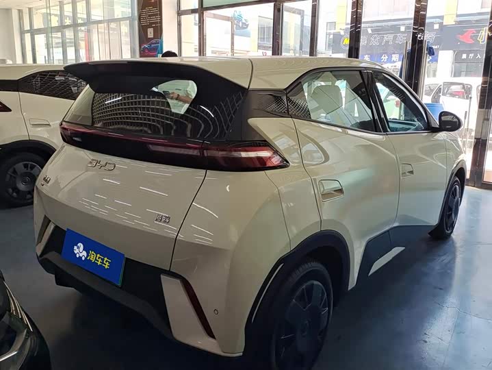 BYD Seagull