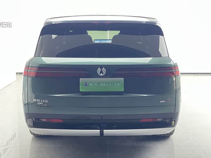 Denza N9 Flagship