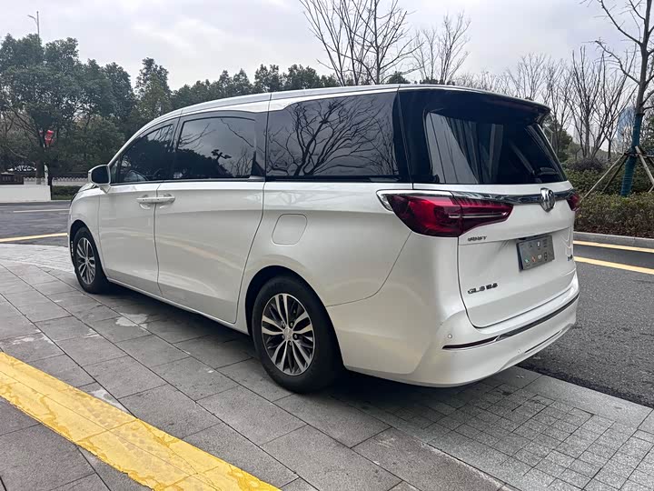 Buick GL8 ES Land Business