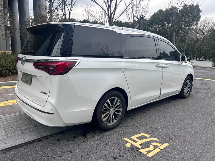 Buick GL8 ES Land Business