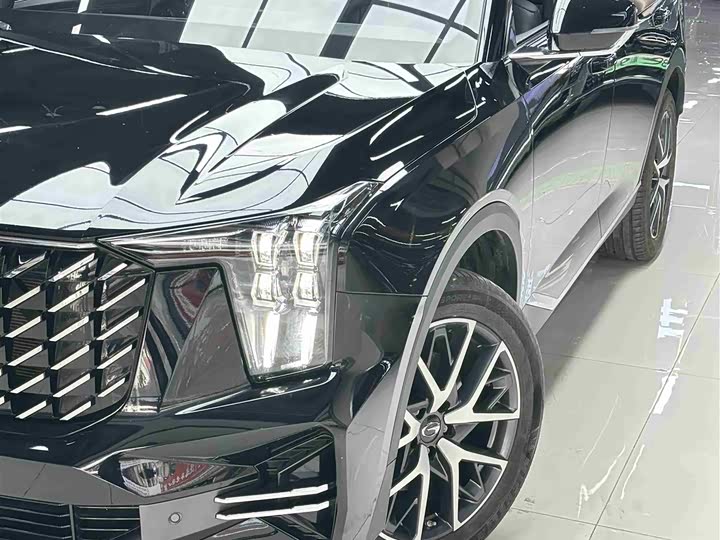 Trumpchi Trumpchi GS8 Linghang Series 2.0TGDI