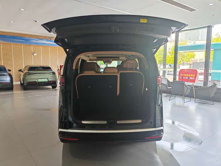 Denza D9 DM-i Smart Drive 1020