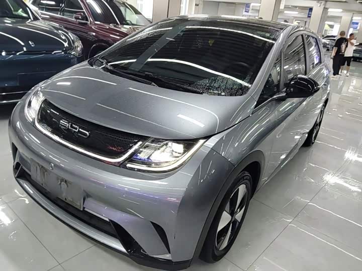 BYD Dolphin 420 km Style