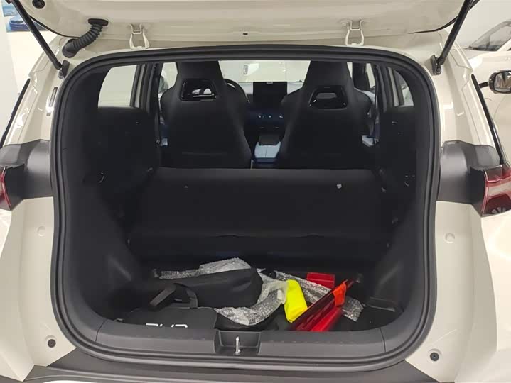 BYD Seagull 305 km Free