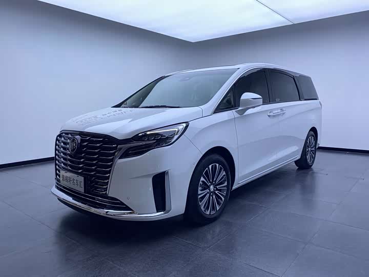 Buick GL8 2023 ESLuzun Luxury