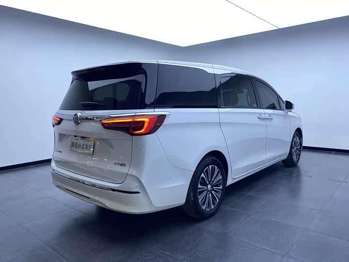 Buick GL8 2023 ESLuzun Luxury