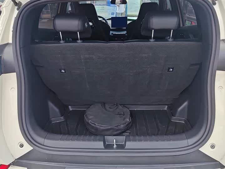 BYD Seagull Freedom Edition