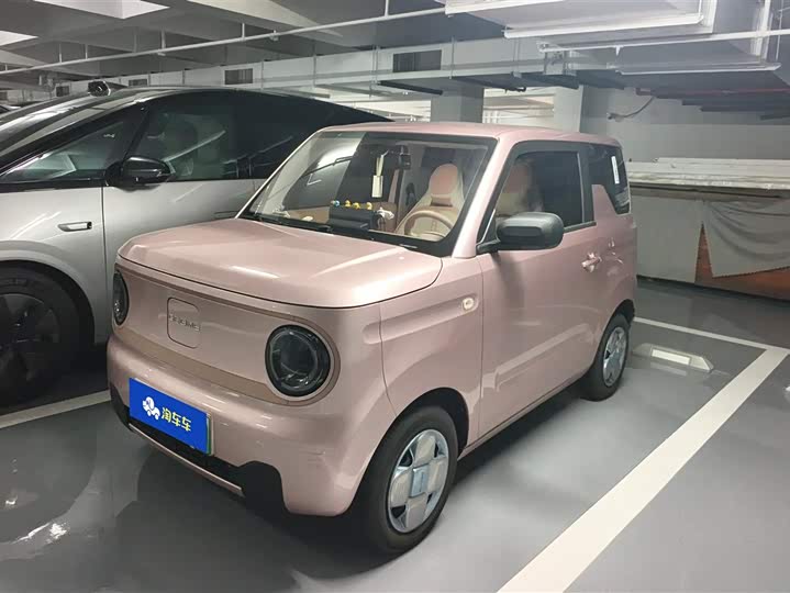 Geely Panda mini 200 km Endurance Bear