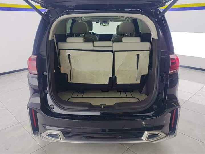 Trumpchi Trumpchi M8 2021 Master
