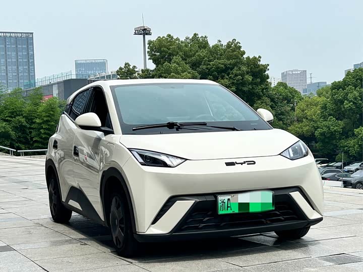 BYD Seagull Freedom Edition