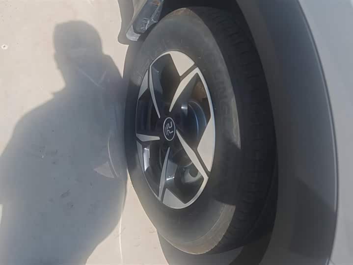 BYD Yuan UP 401 km Leading